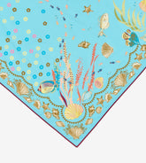 Starfish & Stories - Big format